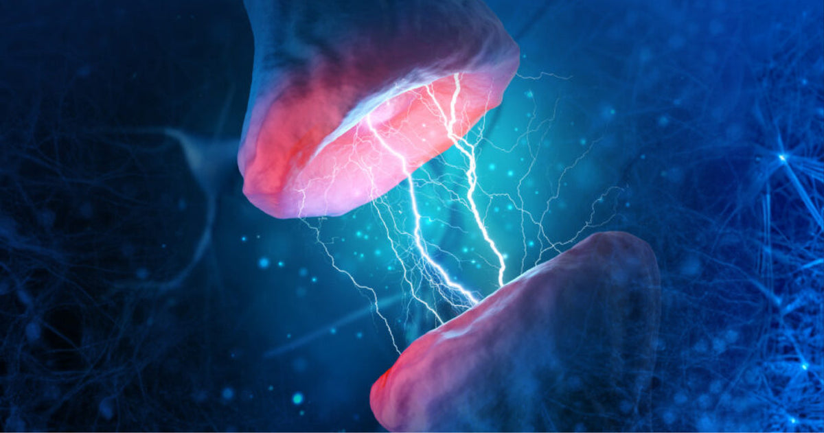 FutureNeuro and Ozlo Collaborate to Explore the Role of Sleep Technology in the Management of Epilepsy